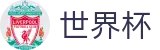2026国际足联世界杯(SHIJIEBEI)官方平台